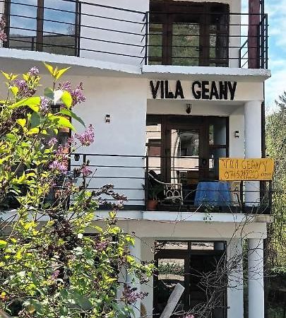 Pensiunea Vila Geany Srl Baile Herculane Ngoại thất bức ảnh