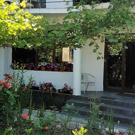 Pensiunea Vila Geany Srl Baile Herculane Ngoại thất bức ảnh