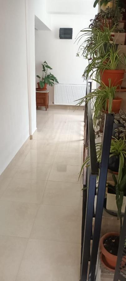 Pensiunea Vila Geany Srl Baile Herculane Ngoại thất bức ảnh