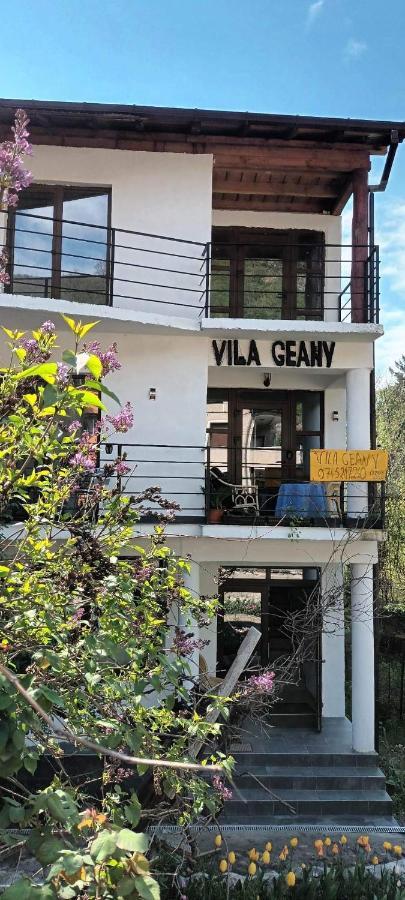 Pensiunea Vila Geany Srl Baile Herculane Ngoại thất bức ảnh