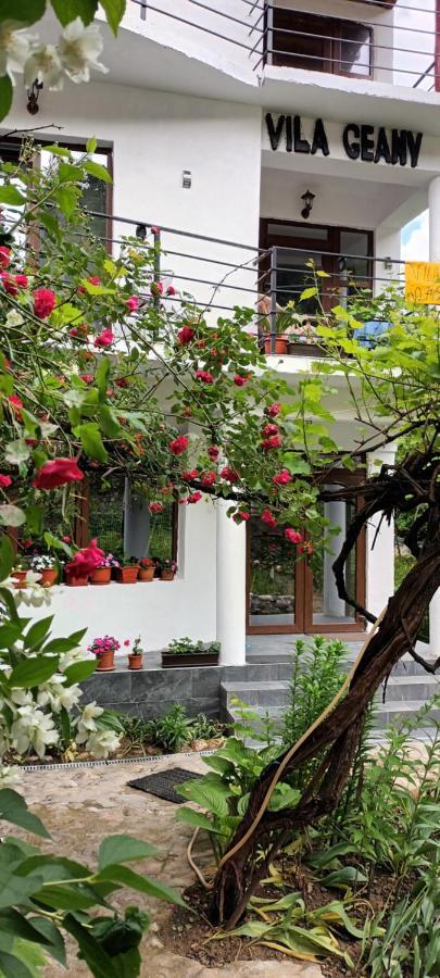 Pensiunea Vila Geany Srl Baile Herculane Ngoại thất bức ảnh