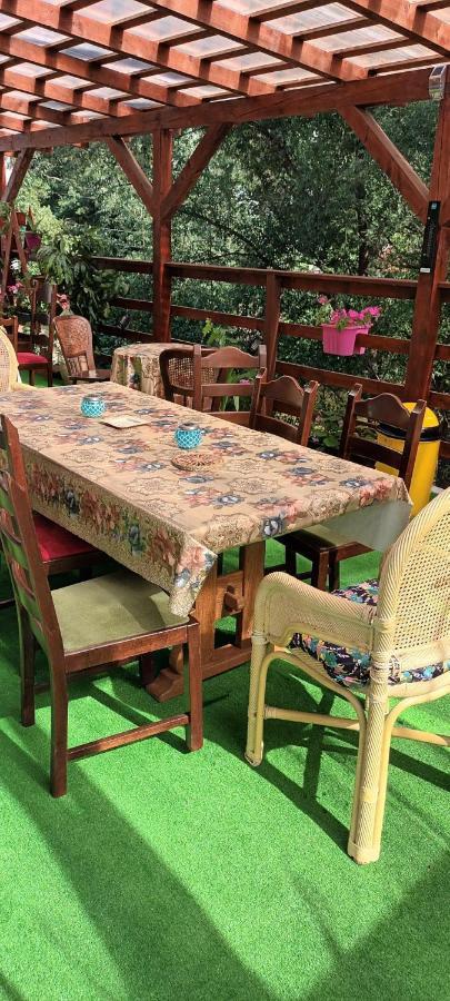 Pensiunea Vila Geany Srl Baile Herculane Ngoại thất bức ảnh