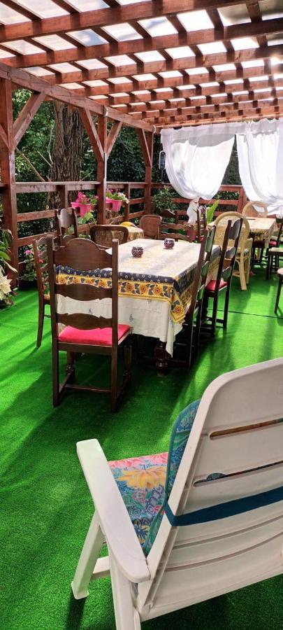 Pensiunea Vila Geany Srl Baile Herculane Ngoại thất bức ảnh